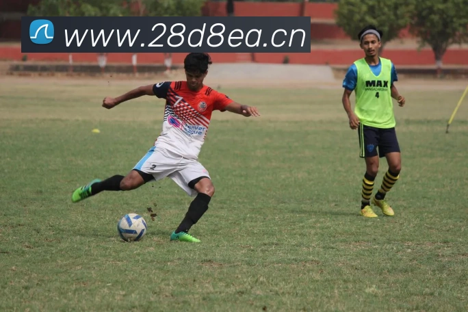 星空入口网页版登录平台生态图