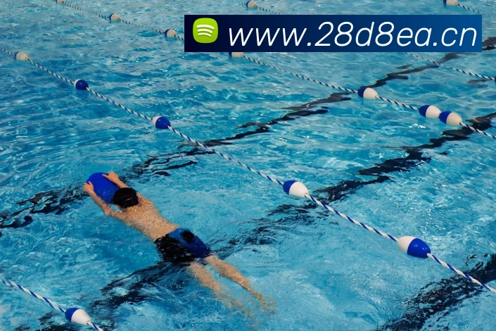 星空入口网页版登录APP 封面图